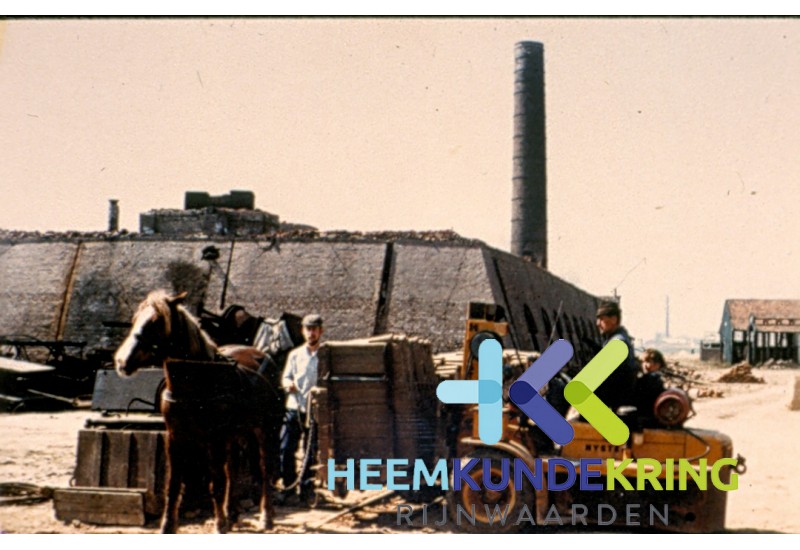 Vliegenwaard F00002601